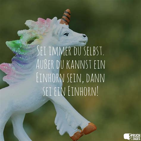 spruch einhorn